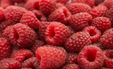 ripe raspberries