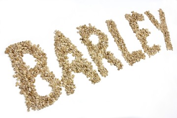 BARLEY geschrieben mit Gerstenkörnern auf weißem Hintergrund