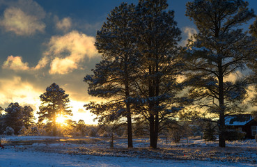 silhouette winter in sunset