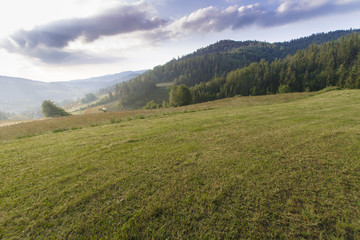 zielone wzgórza