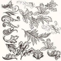 Fototapeta premium Collection of vector hand drawn swirls in vintage style