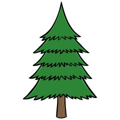 Obraz premium Pine Tree