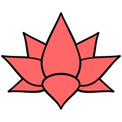 Pink Lotus Flower