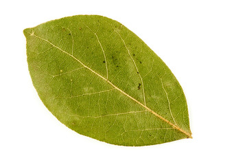 Macro closeup of dried bay leaf