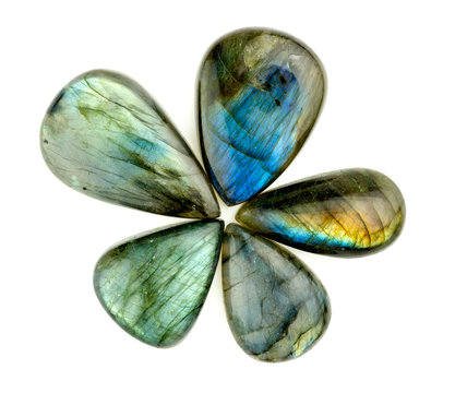 Gorgeous blue labradorite gemstones in flower star shape isolate