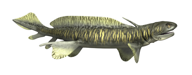 Orthacanthus - Prehistoric Shark © AlienCat
