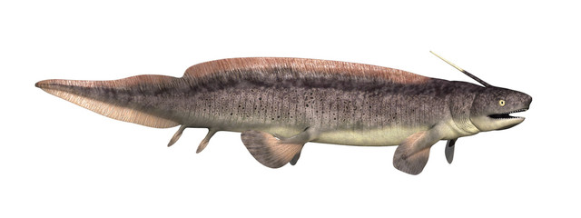 Xenacanthus: Prehistoric Shark © AlienCat