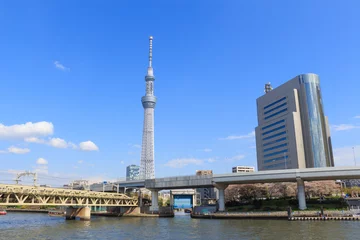 Türaufkleber Tokyo Sky Tree und Sumida-Fluss in Tokio © Scirocco340