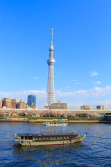 Obraz premium Tokyo Sky Tree and Sumida river in Tokyo