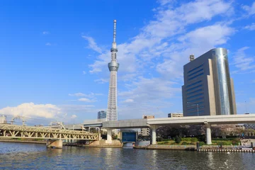 Gordijnen Tokyo Sky Tree and Sumida river in Tokyo © Scirocco340