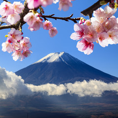 Fototapeta premium święta góra Fuji na tle błękitnego nieba w Jap