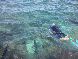 Snorkeling at Georgetown