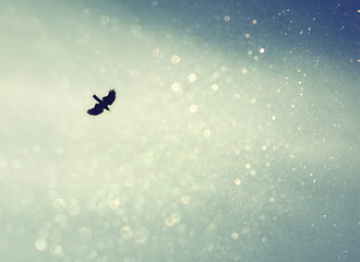 A bird spreading its wings and fly to heaven sky. retro filtered