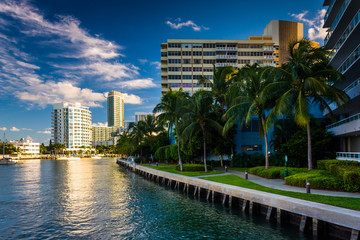 Obraz na płótnie Canvas Palm trees and buildings on Belle Isle, in Miami Beach, Florida.