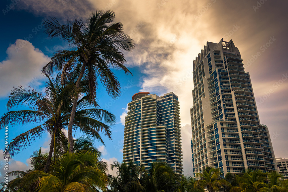 Sticker palm trees and highrises at south beach, miami, florida.