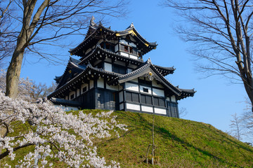 Cherry blossoms at the Takada Park and the Takada Castle in Joet