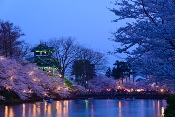 Cherry blossoms at the Takada Park and the Takada Castle in Joet