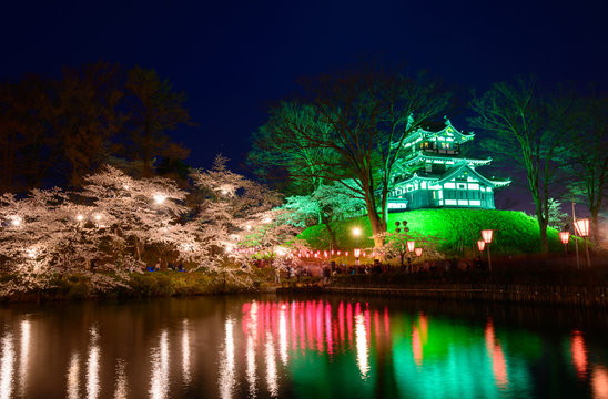 Cherry blossoms at the Takada Park and the Takada Castle in Joet