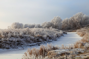 Winter landscape