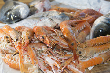 fresh fish of the mediterranean