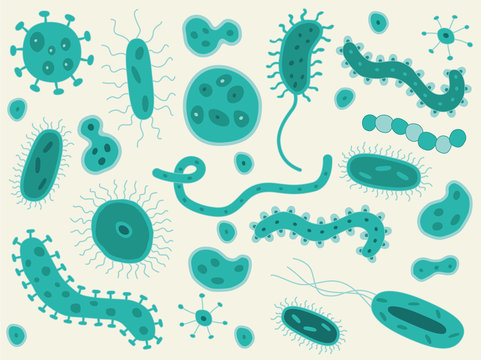 Hand Drawn Bacteria / Germs
