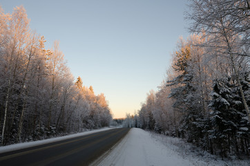 Obraz na płótnie Canvas Winter forest road in a magical light