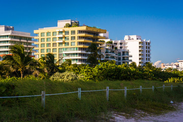 Fototapeta na wymiar Sand dunes and buildings on the beach in Miami Beach, Florida.