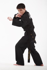 합기도를 하고 있는 성인 남성