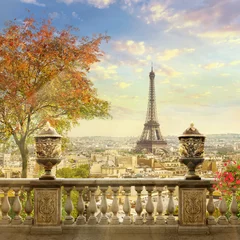 Fotobehang panorama van Parijs © xbujhm