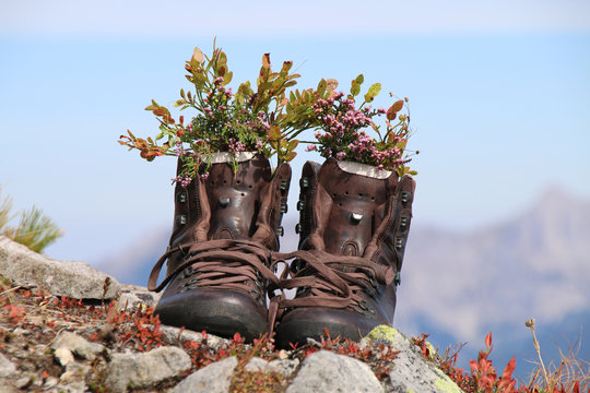 Wandern - 020 - Schuhe - Boesenstein