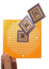 Microprocessor and chip mask in hand isolated on white