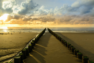 Obraz premium Breakwaters on the beach at sunset in Domburg Holland