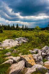 Storm clouds over Bear Rocks Preserve, Monongahela National Fore