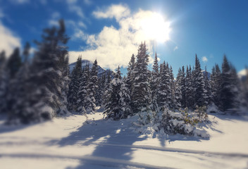 Naklejka premium Winter in mountains