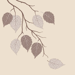 Autumn leaves on a tree