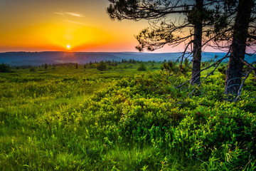 Sunset at Dolly Sods Wilderness, Monongahela National Forest, We