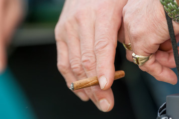 Male hand holding a cigar.