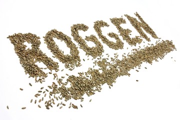 ROGGEN geschrieben mit Roggenkörnern auf weißem Hintergrund