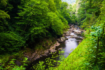 Naklejka premium The Cullasaja River below Dry Falls, Nantahala National Forest,