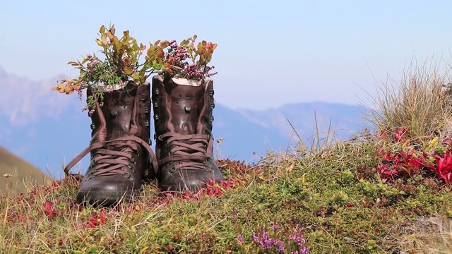Wandern - 015 - Schuhe - Boesenstein