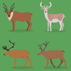 Collection of deer in a flat design