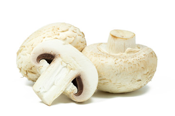 Fototapeta premium Mushrooms