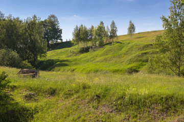 Forest on the hill with shack