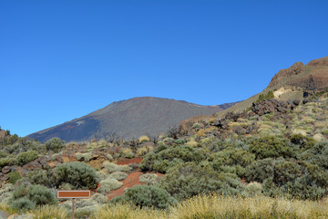 Fototapeta na wymiar Landscape of Teide National Park. Tenerife, Canary Islands