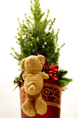 Am Fuße vom Weihnachtsbaum
