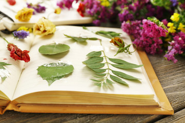 Composition with flowers and dry up plants