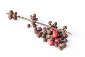 coffee beans on white background