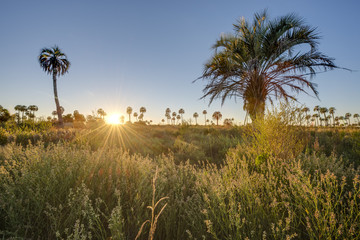 Sunrise on El Palmar National Park, Argentina