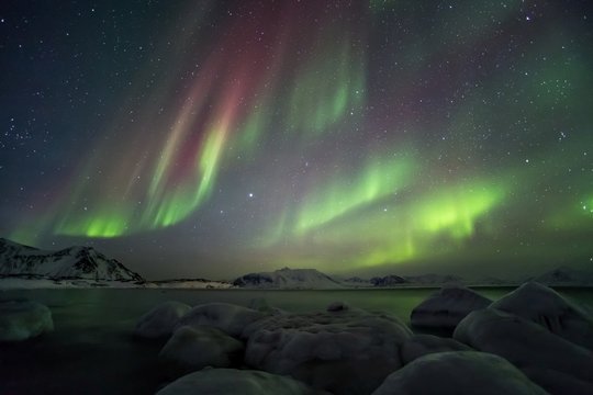 Aurora Borealis - Arctic fjord