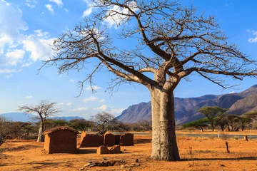 Deurstickers Huis omgeven door baobabbomen in Afrika © pwollinga